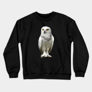 Snow Owl Crewneck Sweatshirt